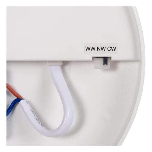 Lucide OLSON - Flush ceiling light Bathroom - Ø 45 cm - LED - CCT - 1x45W 3000K/6500K - IP44 - Opal - detail 3